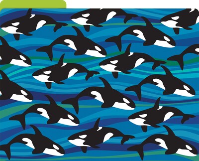 Barker Creek Sea & Sky File Folder, 1/3-Cut Tab, Letter Size, Assorted Colors, 12/Pack (2015)