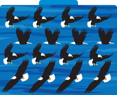 Barker Creek Sea & Sky File Folder, 1/3-Cut Tab, Letter Size, Assorted Colors, 12/Pack (2015)