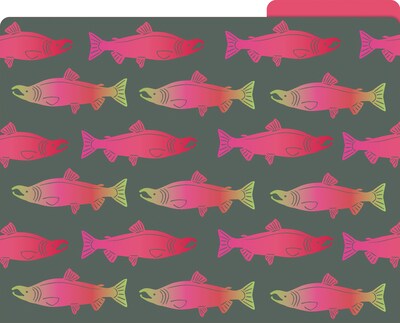 Barker Creek Sea & Sky File Folder, 1/3-Cut Tab, Letter Size, Assorted Colors, 12/Pack (2015)