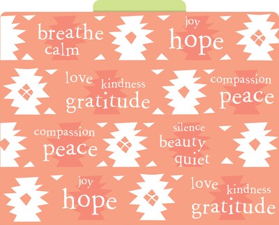 Barker Creek Thoughtfulness File Folder, 1/3-Cut Tab, Letter Size, Assorted Colors, 12/Pack (2016)