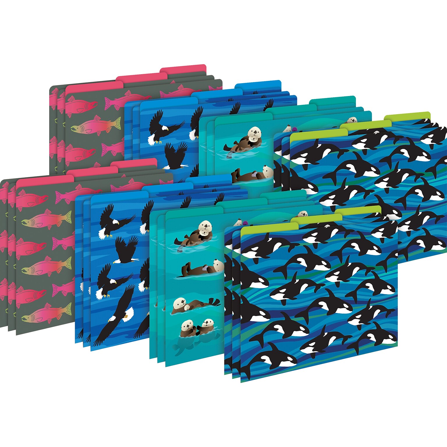 Barker Creek Sea & Sky File Folder, 1/3-Cut Tab, Letter Size, Assorted Colors, 24/Set (4404)