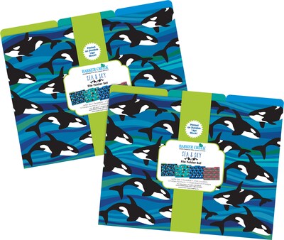 Barker Creek Sea & Sky File Folder, 1/3-Cut Tab, Letter Size, Assorted Colors, 24/Set (4404)
