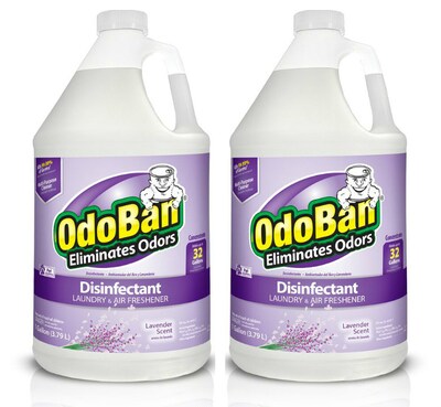 OdoBan Disinfectant Odor Eliminator 2 Gallon Concentrate, Lavender Scent (OBL2G-STP)