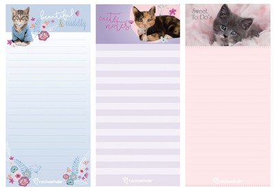 Inkology Rachael Hale Cats Magnetic Memo Pads, Assorted, 7.5 x 3.5, 12 Pack (0693)