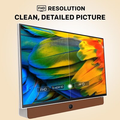 Skyworth P100 24" FHD Portable LED Display with Google TV