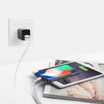LAX Gadgets USB-A/USB-C Wall Charger, 12W, Black (WLL2PBLK)