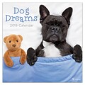 2019 TF Publishing 12 X 12 Dog Dreams Wall Calendar (19-1016)