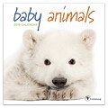 2019 TF Publishing 7 X 7 Baby Animals Mini Calendar (19-2000)