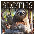 2019 TF Publishing 7 X 7 Sloths Mini Calendar (19-2010)