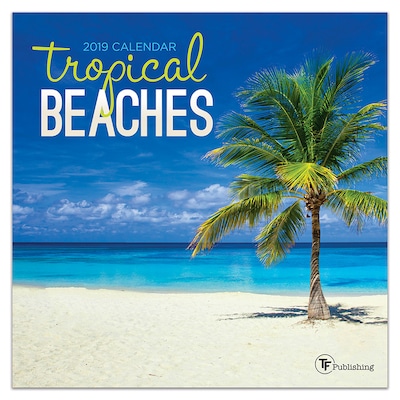 2019 TF Publishing 7 X 7 Tropical Beaches Mini Calendar (19-2097)
