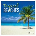 2019 TF Publishing 7 X 7 Tropical Beaches Mini Calendar (19-2097)