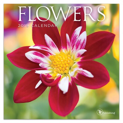 2019 TF Publishing 7 X 7 Flowers Mini Calendar (19-2099)