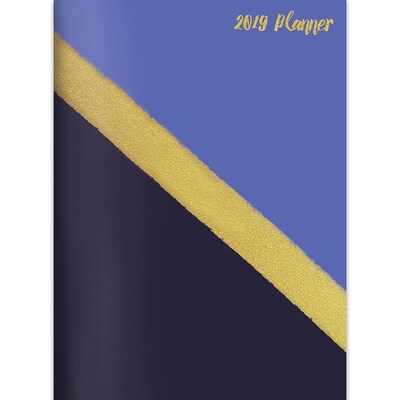 2019 TFI Publishing 7.5 X 10.25 Gold Monthly Planner (19-4248)