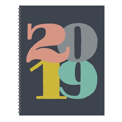 TFI Publishing 2019 Pop Art Large Weekly Monthly Planner 9 X 11 (19-9782)