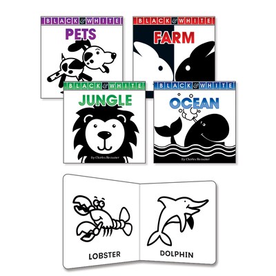 Black and White Board Book Set, Early Learners (9781617418822)