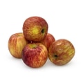 Fresh Fuji Apples, 8/Pack (900-00040)