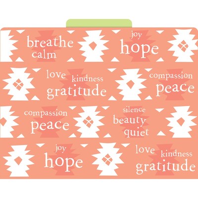 Barker Creek Thoughtfulness File Folder, 1/3-Cut Tab, Letter Size, Assorted Colors, 12/Pack (BC1307)