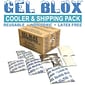 Gel Blox Cold Pack, 6 oz., 4" x 6", 48/Box (GB4548)