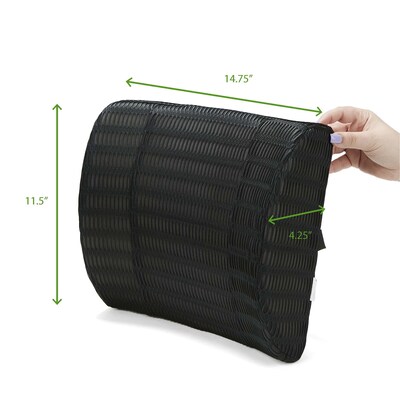 Mind Reader Harmony Collection Foam Back Supports, Black (BACKFOAM-BLK)