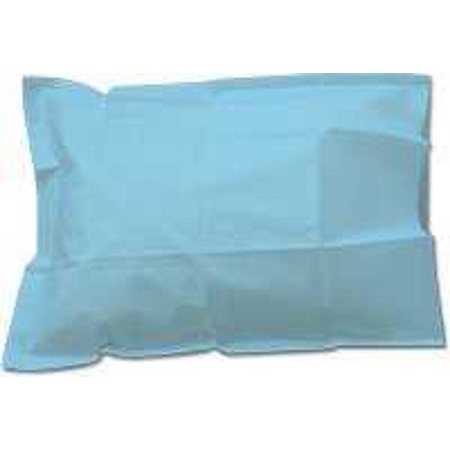 Tidi FABRICEL®, Blue  Pillow Covers, 100/ Carton (919353)