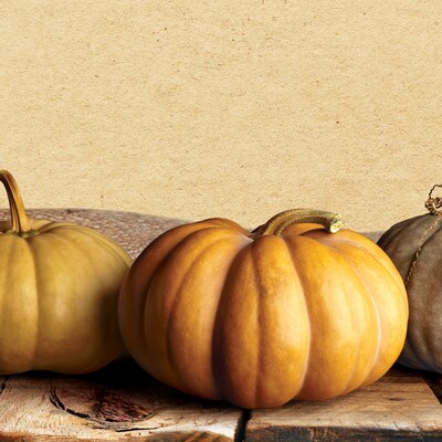 Great Papers!® Fall Pumpkins Letterhead, 8.5 x 11, 80 sheets (2018012)