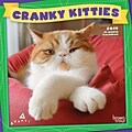 2019 Brown Trout 7 x 7  Avanti Cranky Kitties Monthly Mini Wall Calendar (9781465079244)