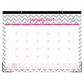 2019 Blue Sky DL Ollie Monthly Calendar, 22 x 17 (102137-19)