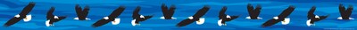 Barker Creek Double-Sided Border, 35 x 3, Eagles, 12/Pack (931)