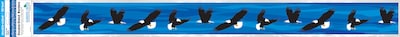 Barker Creek Double-Sided Border, 35" x 3", Eagles, 12/Pack (931)
