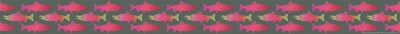 Barker Creek Double-Sided Border (BC932) 35' per package, Salmon