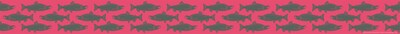 Barker Creek Double-Sided Border (BC932) 35' per package, Salmon