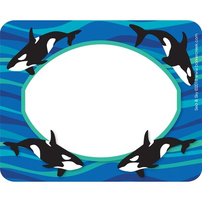 Barker Creek Sea & Sky Name Tags/Self-Adhesive Labels, 3 ½” x 2 ¾”, 45 per package/3 designs (BC1549)