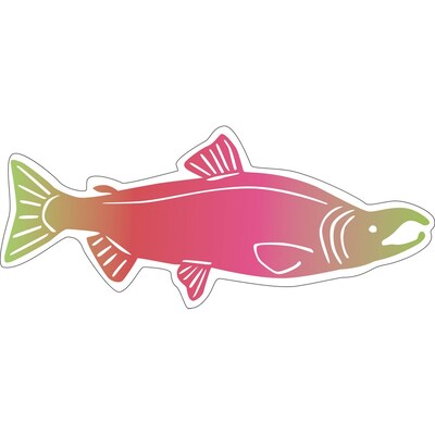 Barker Creek Sea & Sky Double-Sided Accents, Multi-Design, 36 per package/6 designs (BC2211)