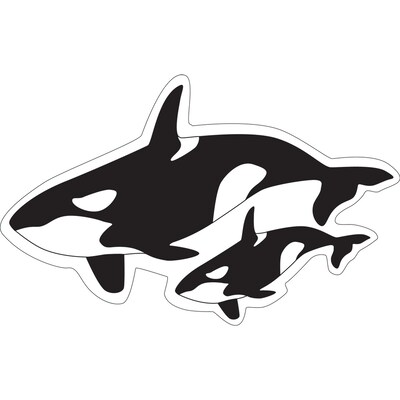 Barker Creek Sea & Sky Double-Sided Accents, Multi-Design, 36 per package/6 designs (BC2211)