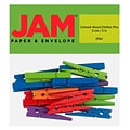 JAM Paper Wood Clip Extra Large, Clothespins, Assorted Colors, 20/Pack (230734410)