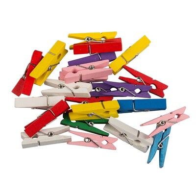 JAM Paper Wood Clip Large Clothespins, Assorted Colors, 24/Pack (230734409)