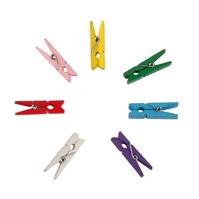 JAM Paper Wood Clip Large Clothespins, Assorted Colors, 24/Pack (230734409)