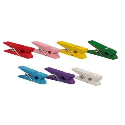 JAM Paper Wood Clip Large Clothespins, Assorted Colors, 24/Pack (230734409)