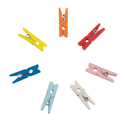 JAM Paper Wood Clip Small Wood Clothespins, Assorted Colors, 40/Pack (230734407)