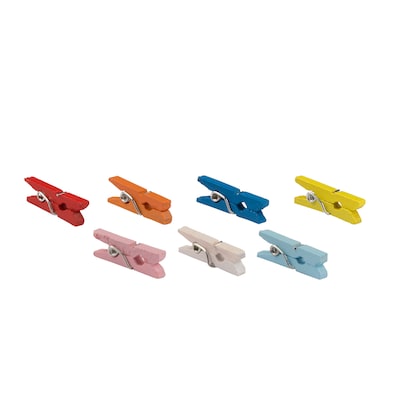 JAM Paper Wood Clip Small Wood Clothespins, Assorted Colors, 40/Pack (230734407)