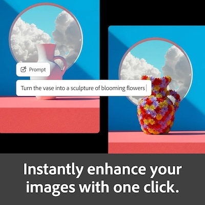 Adobe Firefly Standard AI Video Generator, 1 Year Subscription for 1 User, PC/Mac, Download