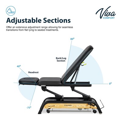 Viva Comfort Atlas Electric Height Adjustable Treatment Table with Safety Rail, 441 lb. Capacity, Black (903-30-30GR-MK)