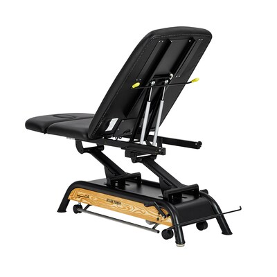 Viva Comfort Atlas Electric Height Adjustable Treatment Table with Safety Rail, 441 lb. Capacity, Black (903-30-30GR-MK)