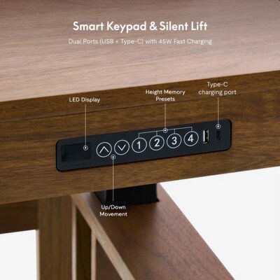 FlexiSpot Fusion Retro 63"W Electric Adjustable Standing Desk, Walnut Veneer (EHD-V6330WV)
