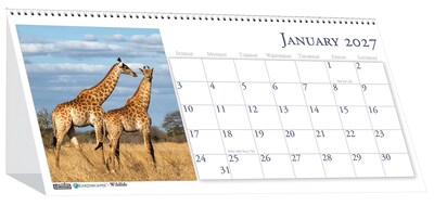 2027 House of Doolittle Earthscapes 8.5 x 4.5 Monthly Desk Calendar (3689-27)