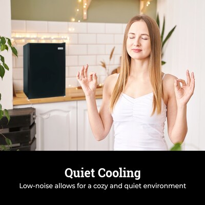 Igloo IRF26BK6A 2.6 Cu. Ft. Refrigerators w/Freezer, Black