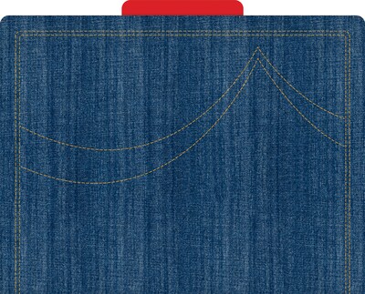 Barker Creek Denim File Folder, 1/3-Cut Tab, Letter Size, Multicolor, 12/Pack (BC1302)