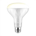 TP-Link Kasa Smart Wi-Fi LED Bulb with Dimmable White Light (LB200)