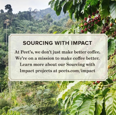 Peet's Coffee Cafe Domingo Beans Coffee, Medium Roast, 16 oz. (504873)