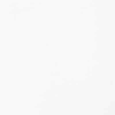 Liquitex BASICS Acrylic Paint Bottle, Titanium White, 400 mL (LIQ220727)
